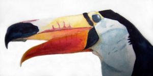 Voir le détail de cette oeuvre: Toucan paraguayen